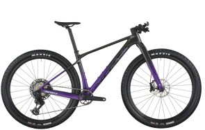 SCALE GRAVEL 10 2026